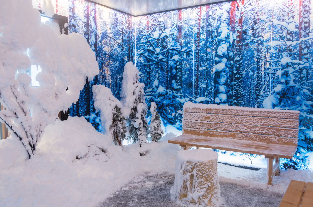 a snow room. Snow and trees inside with a bench for at a spa